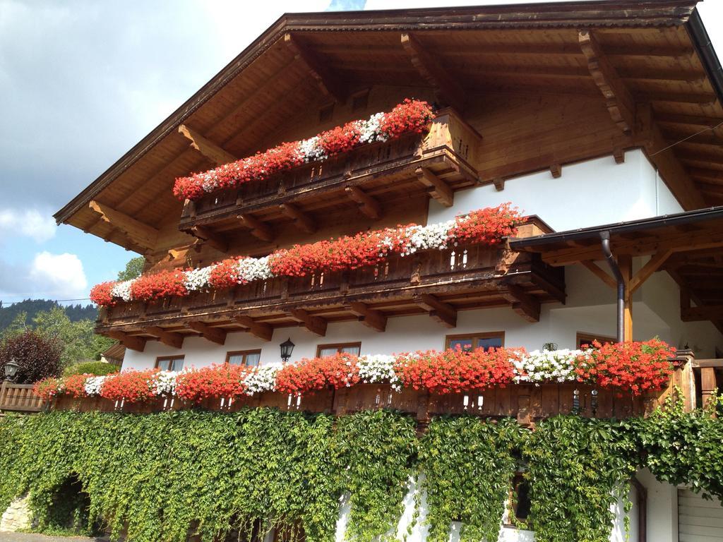 Berggasthof Hintergfoell 温肯 外观 照片